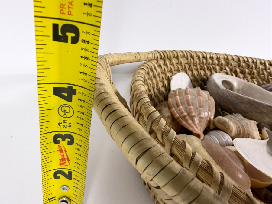 Handwoven Basket Filled With Organic Seashells 17W X 11D X 4H [Photo 10]