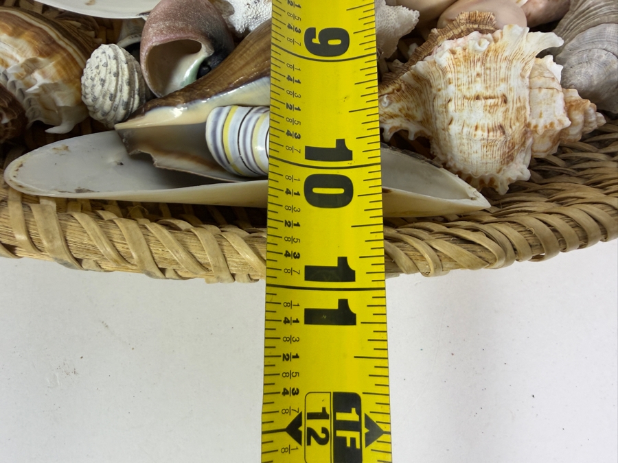 Handwoven Basket Filled With Organic Seashells 17W X 11D X 4H [Photo 9]