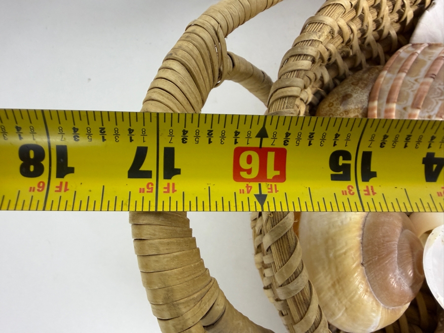 Handwoven Basket Filled With Organic Seashells 17W X 11D X 4H [Photo 8]