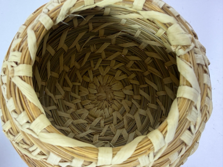 Handmade Long Leaf Southern Pine Needles Lidded Basket Titled 'Three Nut Tray' By Judy Mallow of North Carolina 5.5H [Photo 3]