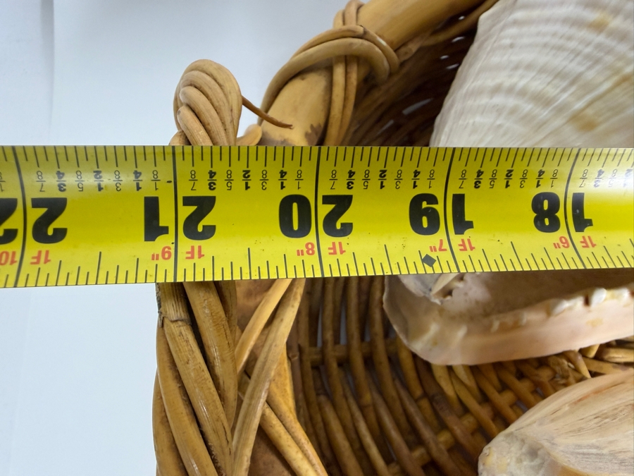 Collection Of Vintage Natural Large Seashells And White Cauliflower Coral Specimen In Woven Rattan Basket 21'W [Photo 7]