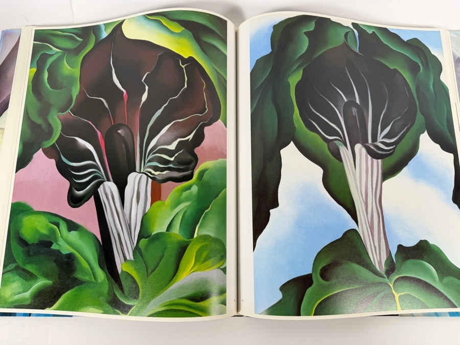 Just Added - First Edition Hardcover Book Georgia O'Keeffe: One Hundred Flowers 13.5 X 16.5 [Photo 7]