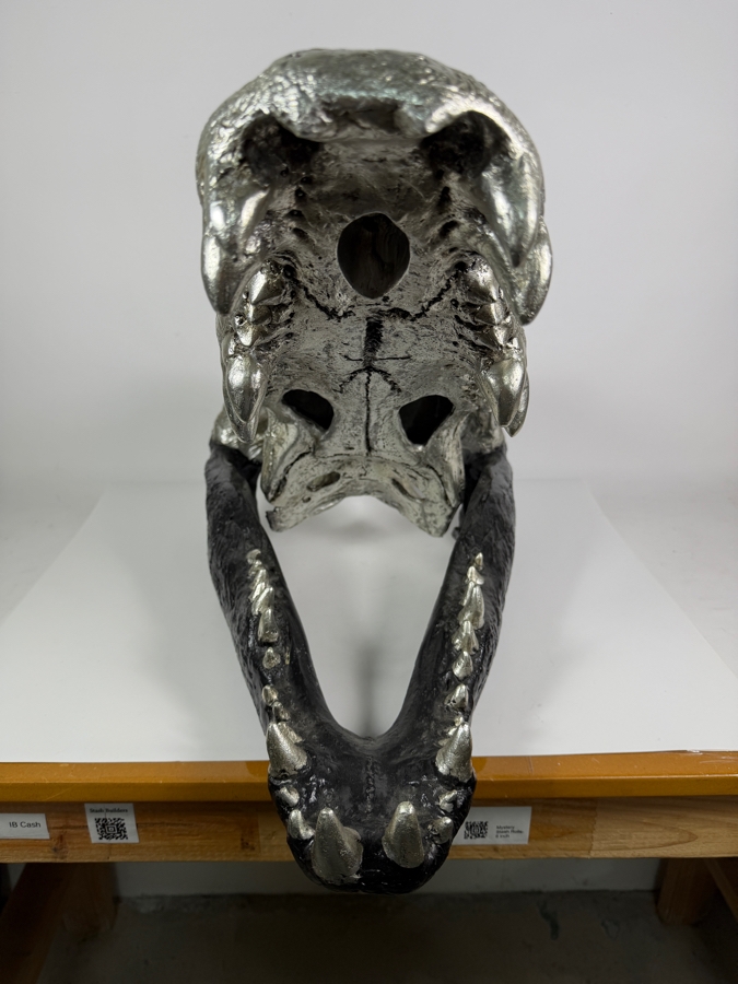 Very Large Phillips Collection Crocodile Skull Sculpture Resin Casting Art Housed In Custom Matte Black And Metallic Silver Leaf Textured Finish Retails $629 27'W X 15'D X 18'H [Photo 6]