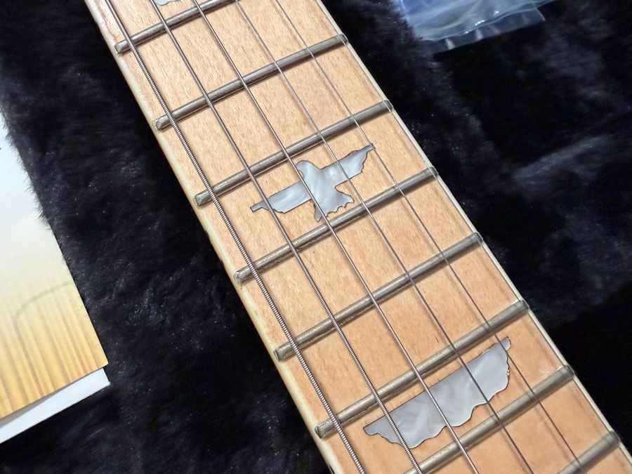 Authentic Keith Urban 'Phoenix Collection' Limited Edition Solid Body Electric Guitar Package in Vintage Natural Ivory [Photo 5]