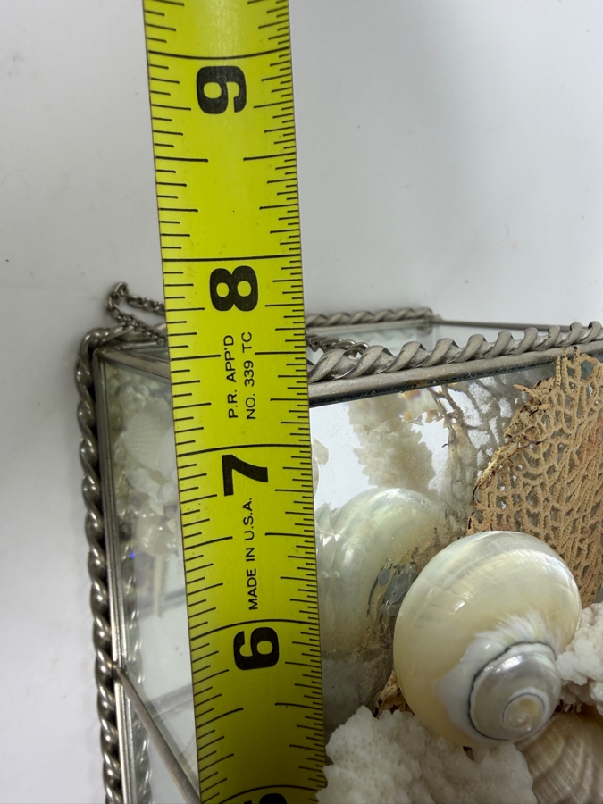 Vintage Artisan Beveled Glass and Brass Box Featuring a Sculpted Sea Shell and Crystal Treasure Assemblage 8'W X 5'D X 4'H Retail $250 [Photo 10]