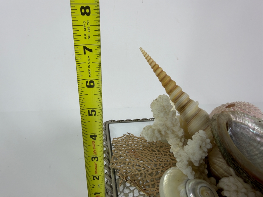 Vintage Artisan Beveled Glass and Brass Box Featuring a Sculpted Sea Shell and Crystal Treasure Assemblage 8'W X 5'D X 4'H Retail $250 [Photo 13]