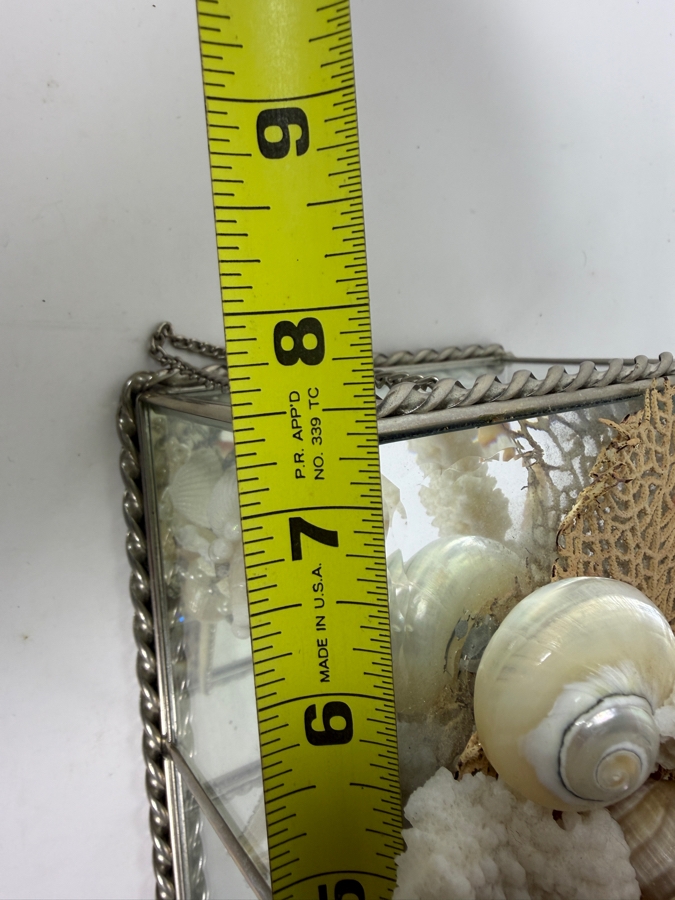 Vintage Artisan Beveled Glass and Brass Box Featuring a Sculpted Sea Shell and Crystal Treasure Assemblage 8'W X 5'D X 4'H Retail $250 [Photo 11]