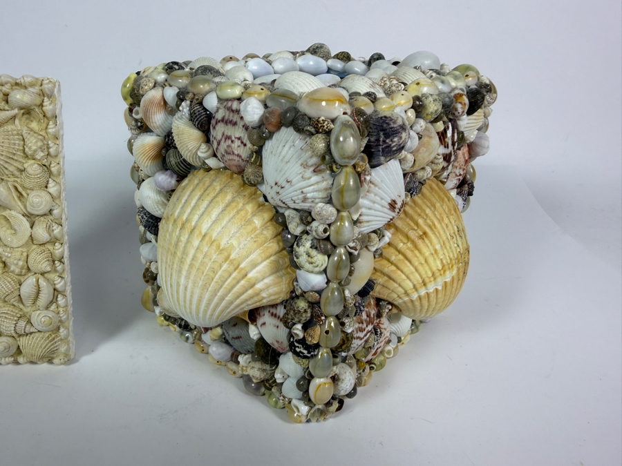 Handcrafted Coastal Tabletop Duo Featuring a Miniature All-White Seashell Picture Frame and a Geometric Shell-Encrusted Tissue Box Cover 6'H [Photo 5]