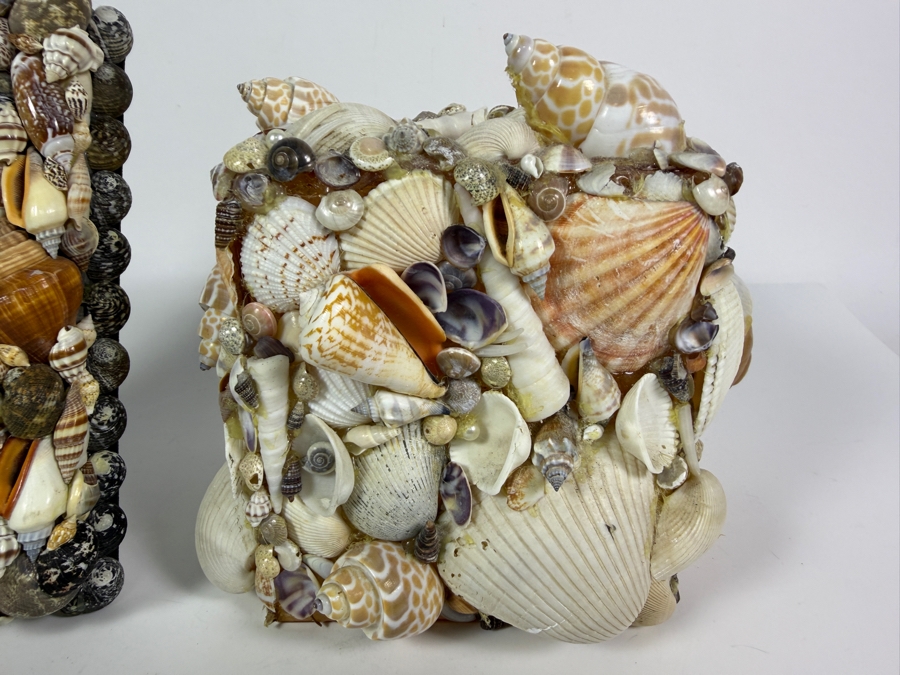 Handcrafted Multi-Tone Earthy Seashell Tabletop Accent Duo Featuring a Glossy Polished Photo Frame and Tissue Box Cover 8'H and 6.5'H [Photo 2]
