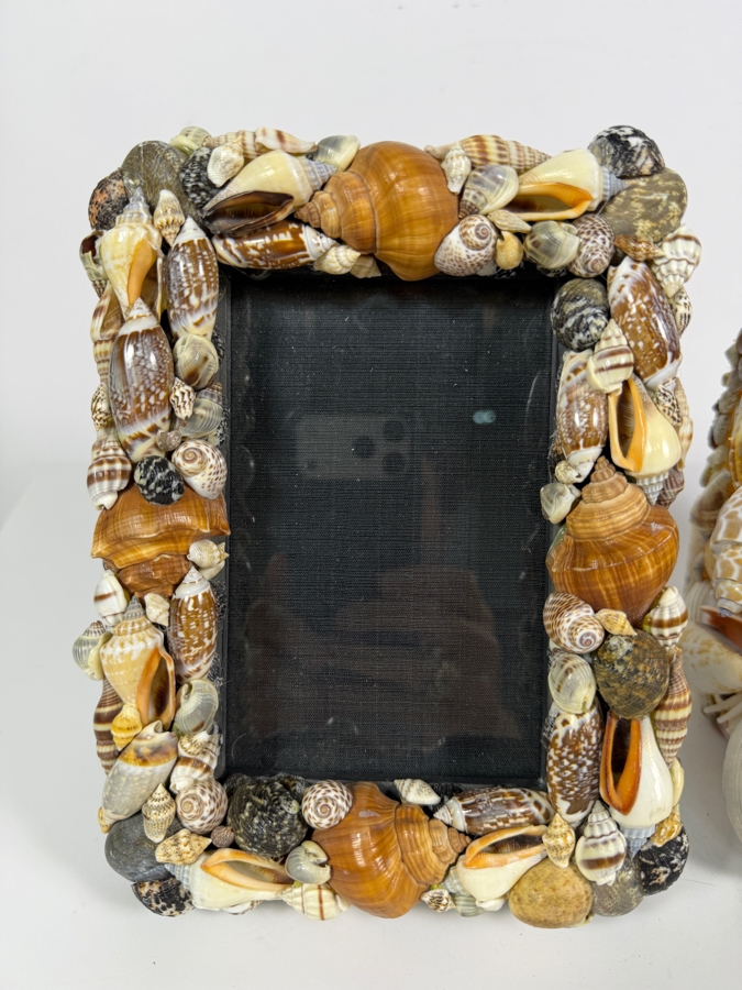 Handcrafted Multi-Tone Earthy Seashell Tabletop Accent Duo Featuring a Glossy Polished Photo Frame and Tissue Box Cover 8'H and 6.5'H [Photo 4]