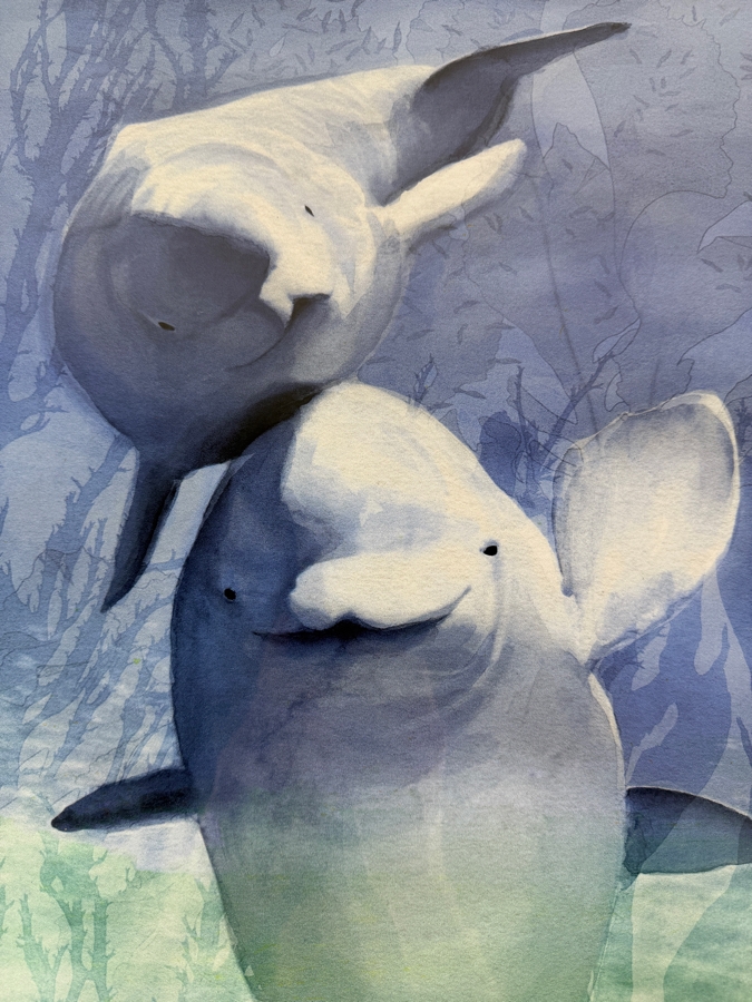 Framed Dolphin Print 13.5 X 17.5 Framed 23.5 X 27.5 [Photo 4]