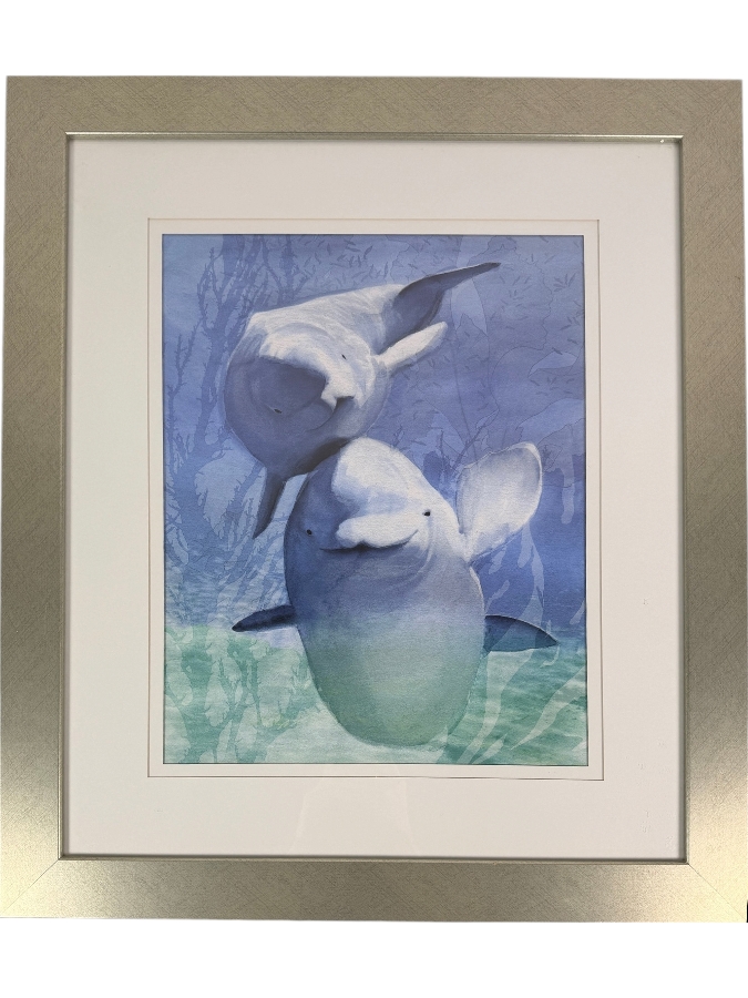 Framed Dolphin Print 13.5 X 17.5 Framed 23.5 X 27.5 [Photo 2]