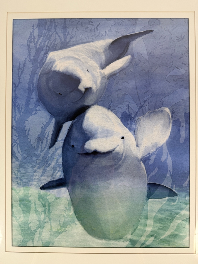 Framed Dolphin Print 13.5 X 17.5 Framed 23.5 X 27.5
