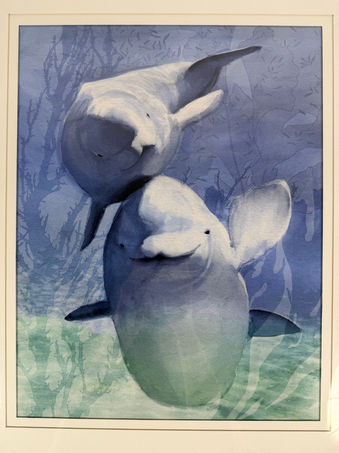 Framed Dolphin Print 13.5 X 17.5 Framed 23.5 X 27.5 [Photo 3]