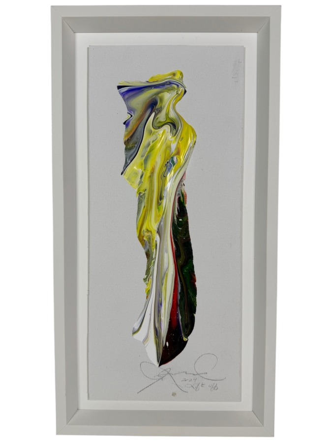 Signed Original Abstract Acrylic Fluid Pour Painting Vibrant Modern Wall Art 7' X 17' Frame: 10' X 20'