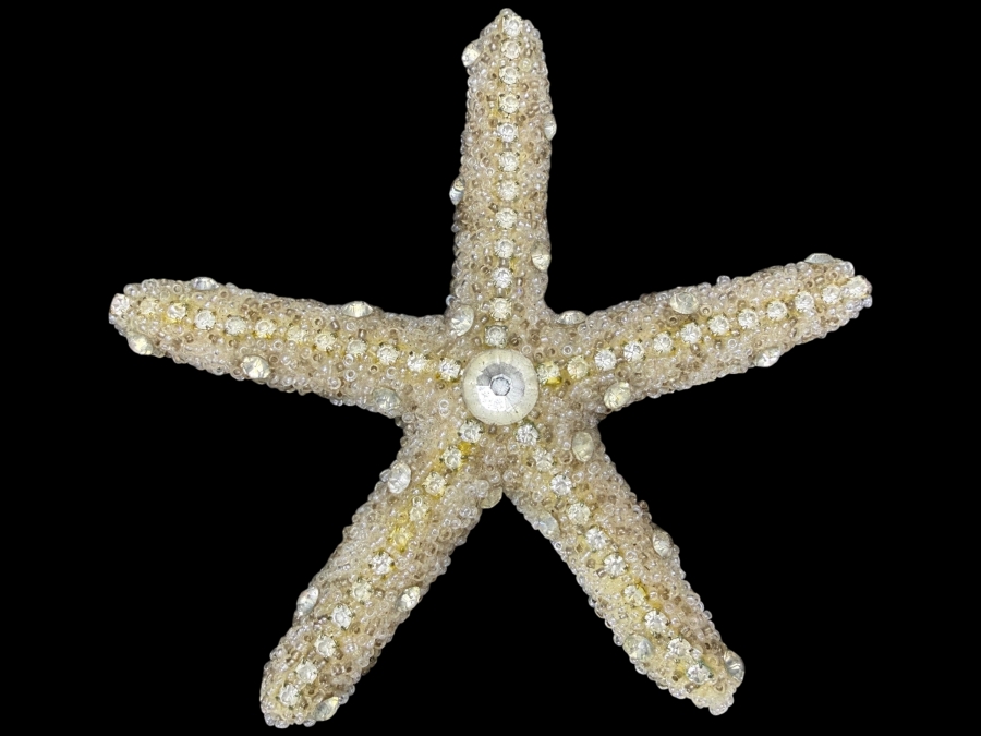 Ferfare With Company Handcrafted Frosted Micro Beaded Real Starfish Sculpture Accent 4.5'L Retails $175