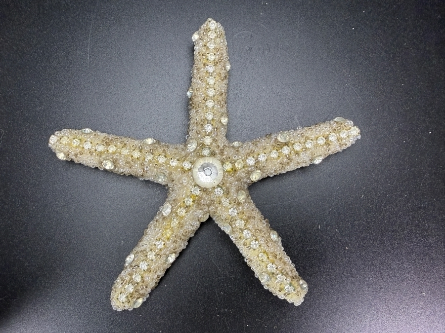 Ferfare With Company Handcrafted Frosted Micro Beaded Real Starfish Sculpture Accent 4.5'L Retails $175 [Photo 2]