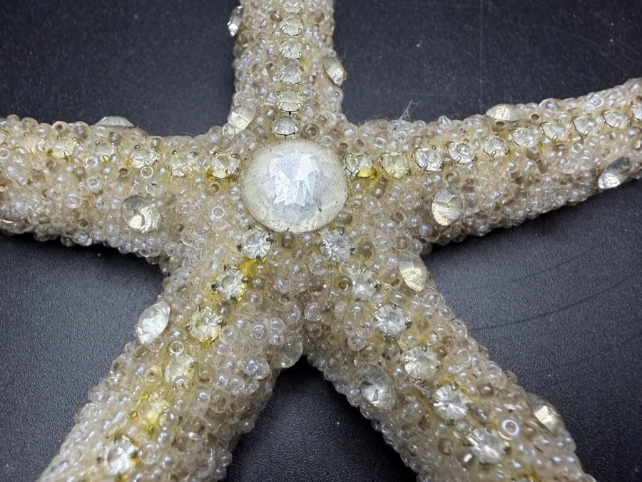 Ferfare With Company Handcrafted Frosted Micro Beaded Real Starfish Sculpture Accent 4.5'L Retails $175 [Photo 3]