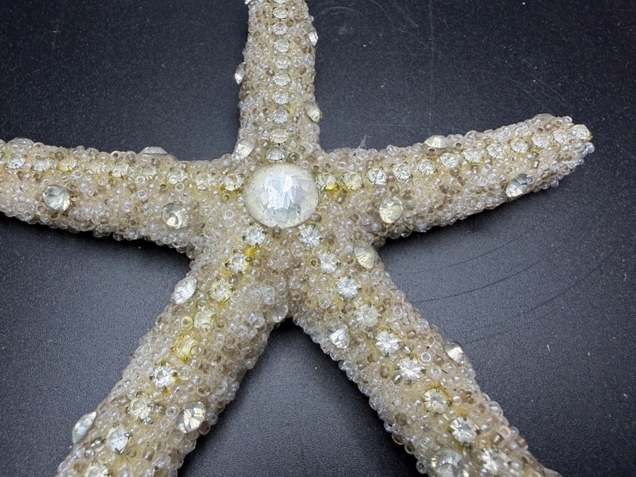 Ferfare With Company Handcrafted Frosted Micro Beaded Real Starfish Sculpture Accent 4.5'L Retails $175 [Photo 4]