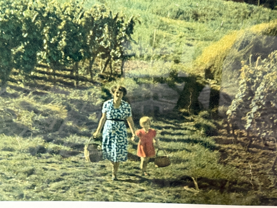 France Le Vignoble D'Alsace Vintage Travel Advertising Poster Featuring The St Jacques Le Majeur Church In Hunawihr 30'W X 45'H [Photo 5]