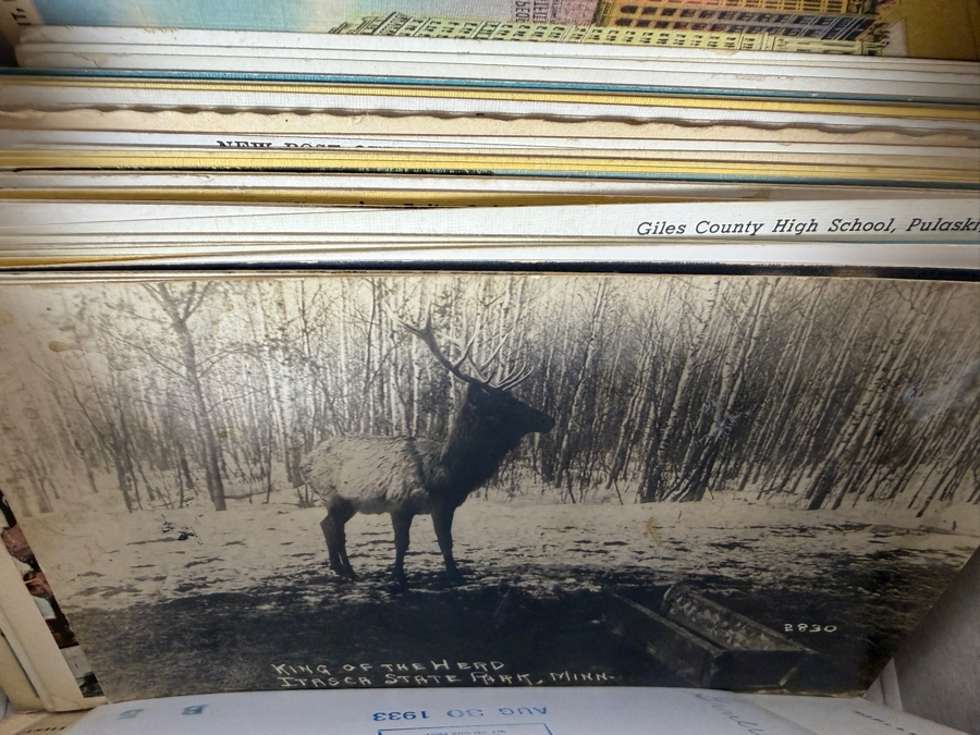 Large Lot Of Vintage And Antique Souvenir Postcards - See Photos for Small Sampling [Photo 8]