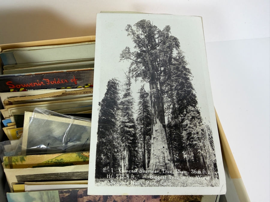 Large Lot Of Vintage And Antique Souvenir Postcards - See Photos for Small Sampling [Photo 12]