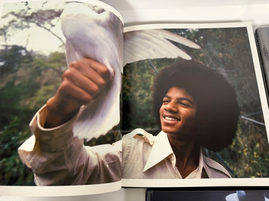 Just Added - Michael Jackson La Toya Jackson Book Lot Of 4, Michael Jackson A Life In Pictures, Life Magazine Michael 1958-2009, Michael Jackson Treasures Memorabilia Photos, Starting Over Biography Hardcover [Photo 6]