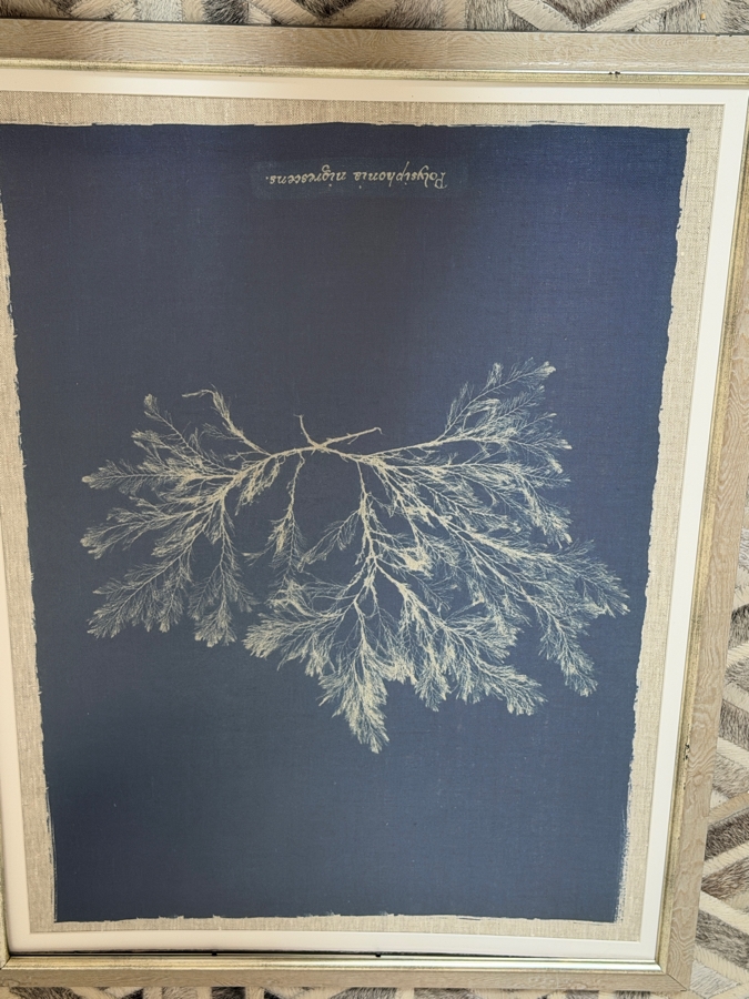 Just Added - Set Of 2 MINDTHEGAP Seaweed Indigo Vintage Botanical Framed Art Prints 26'W X 34'H [Photo 3]