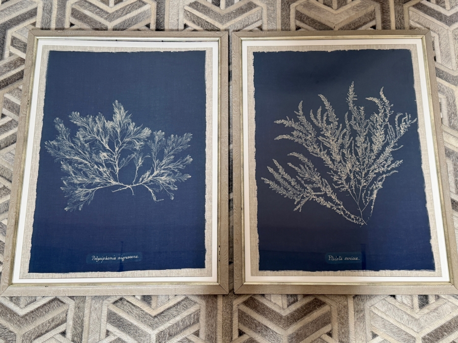 Just Added - Set Of 2 MINDTHEGAP Seaweed Indigo Vintage Botanical Framed Art Prints 26'W X 34'H [Photo 2]