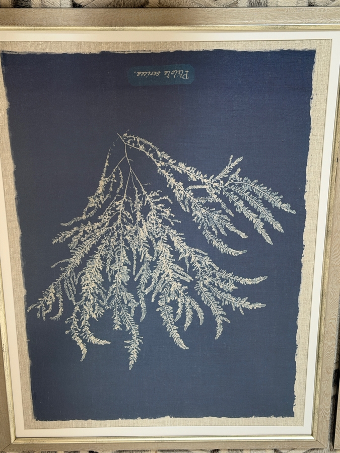 Just Added - Set Of 2 MINDTHEGAP Seaweed Indigo Vintage Botanical Framed Art Prints 26'W X 34'H [Photo 4]
