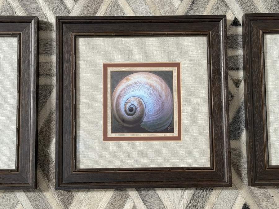 Just Added - Jean-Baptiste-Camille Corot Beach Near Etretat Panoramic Print And Framed Spiral Seashell Photography Set Of Three Retail $569 / $180 X 3 Sizes' 43.5 X 21.5' / 13.5' X 13.5' [Photo 3]