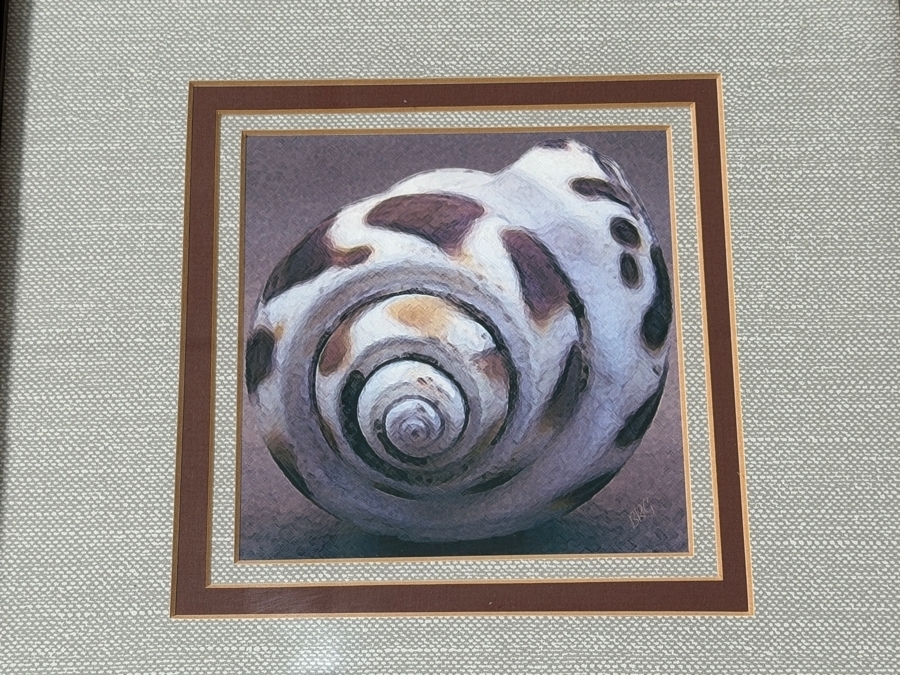 Just Added - Jean-Baptiste-Camille Corot Beach Near Etretat Panoramic Print And Framed Spiral Seashell Photography Set Of Three Retail $569 / $180 X 3 Sizes' 43.5 X 21.5' / 13.5' X 13.5' [Photo 5]