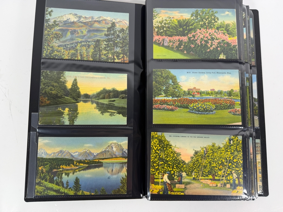 Collection of (239) Vintage Postcards Including Beach Towns, Tourist Destinations and More - See Photos [Photo 4]