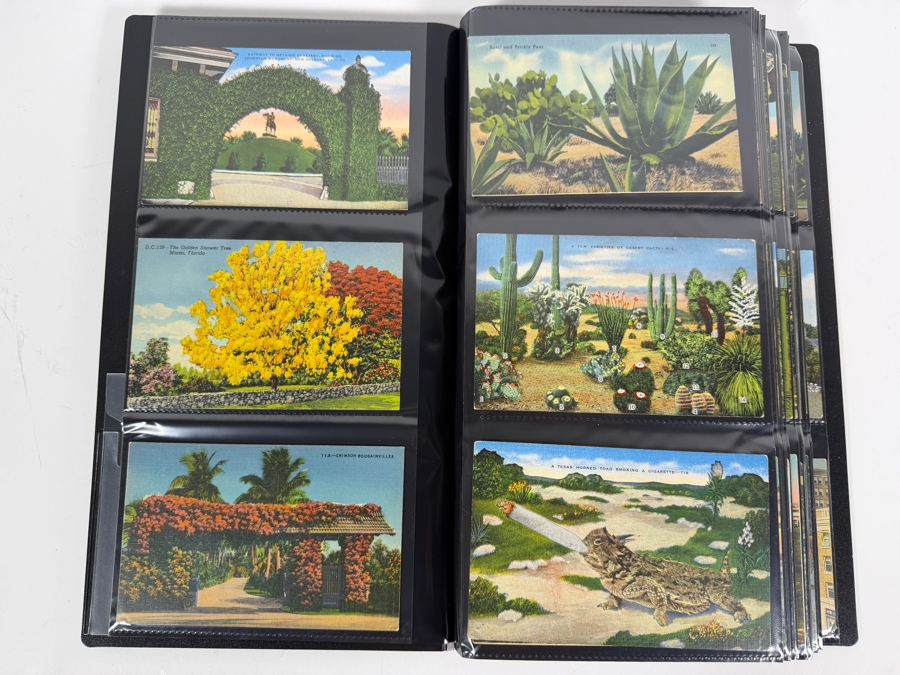 Collection of (239) Vintage Postcards Including Beach Towns, Tourist Destinations and More - See Photos [Photo 5]