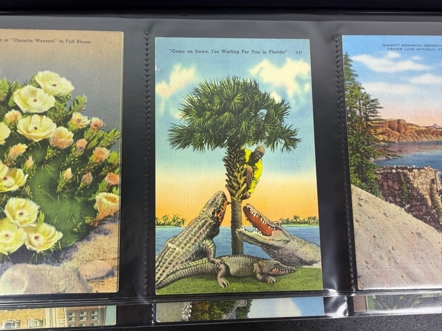 Collection of (239) Vintage Postcards Including Beach Towns, Tourist Destinations and More - See Photos [Photo 17]