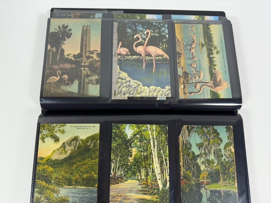 Collection of (239) Vintage Postcards Including Beach Towns, Tourist Destinations and More - See Photos [Photo 18]