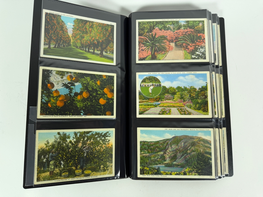 Collection of (237) Vintage Postcards of Various Buildings, Monuments, Tourist Attractions and More - See Photos [Photo 2]