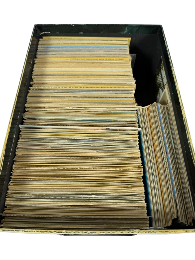 Collection of Approximately (800) Vintage California State Postcards - See Photos