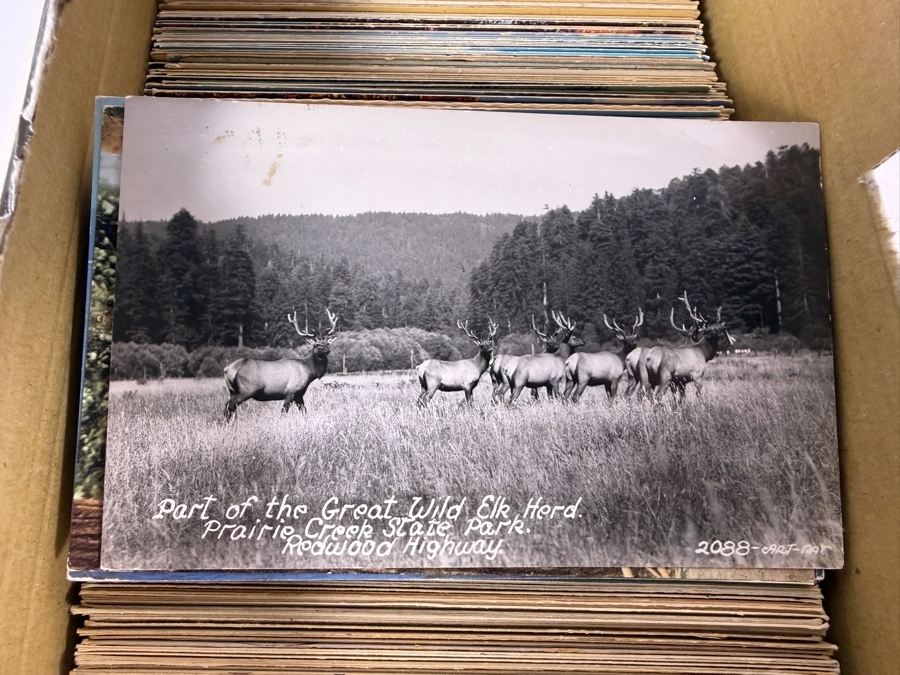 Collection of Approximately (700) Vintage California State Postcards - See Photos
 [Photo 5]