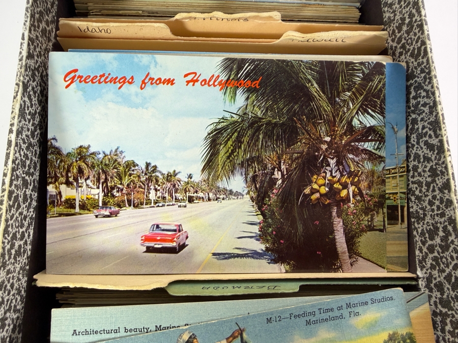 Collection of Vintage State Postcards From Various States Including Florida and Hawaii - See Photos [Photo 8]