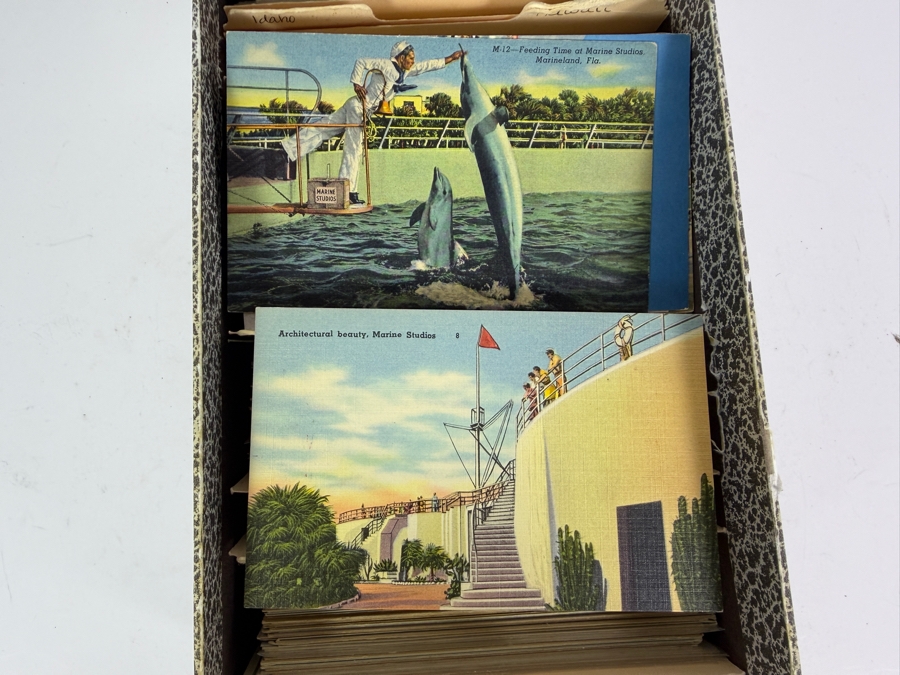 Collection of Vintage State Postcards From Various States Including Florida and Hawaii - See Photos [Photo 6]