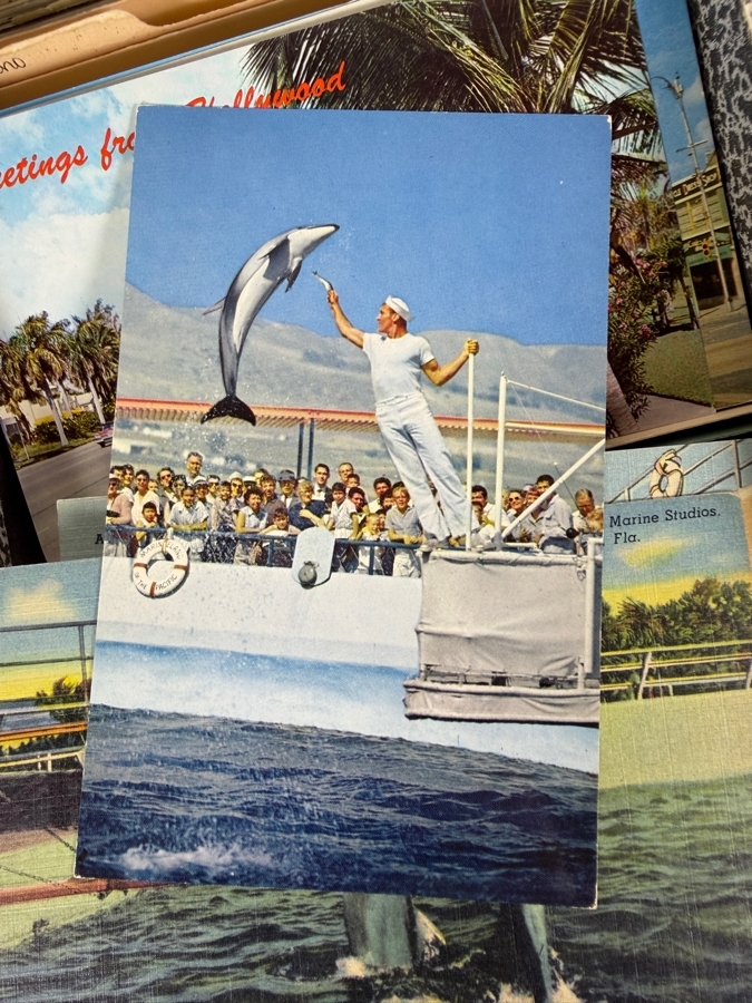 Collection of Vintage State Postcards From Various States Including Florida and Hawaii - See Photos [Photo 7]