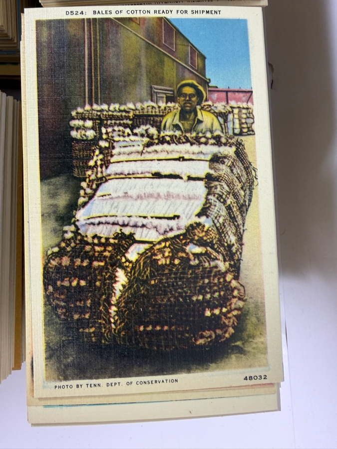 Huge Collection of Approximately (2,500) New Old Stock Linen Postcards Published by Asheville Postcard Co., Asheville, NC - See Photos for Small Sample Of the Lot [Photo 11]