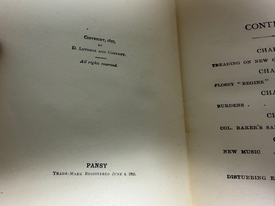 Collection Of Eleven Antique Victorian Hardcover Books Including Works By Pansy And Thaddeus Of Warsaw [Photo 10]
