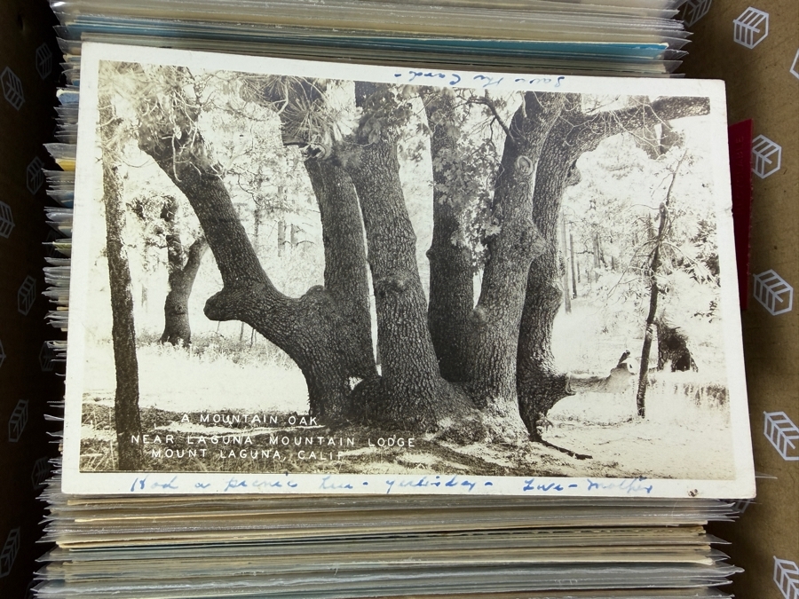 Collection of Vintage California Postcards - See Photos for Sampling [Photo 5]