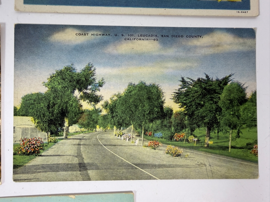 Collection of (11) Vintage San Diego County Postcards - See Photos for Sampling [Photo 4]
