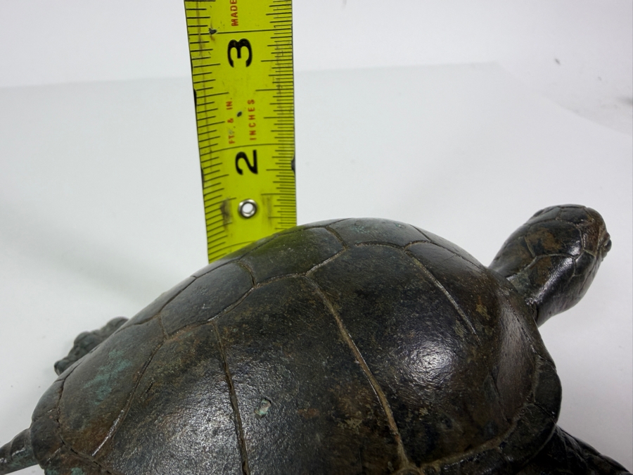 Bronze Sea Turtle 5.5W X 2H [Photo 12]