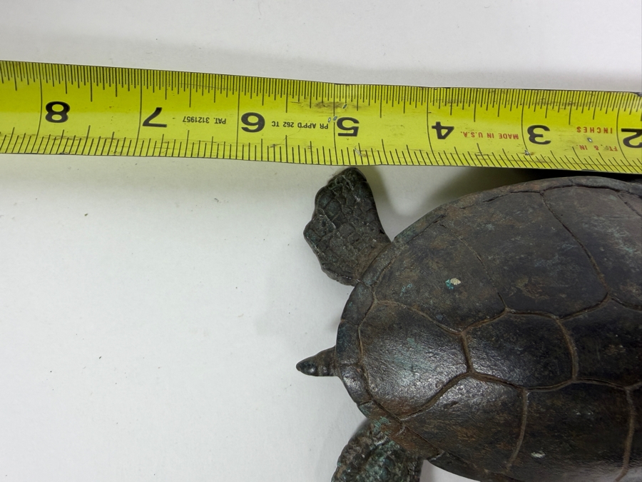 Bronze Sea Turtle 5.5W X 2H [Photo 11]