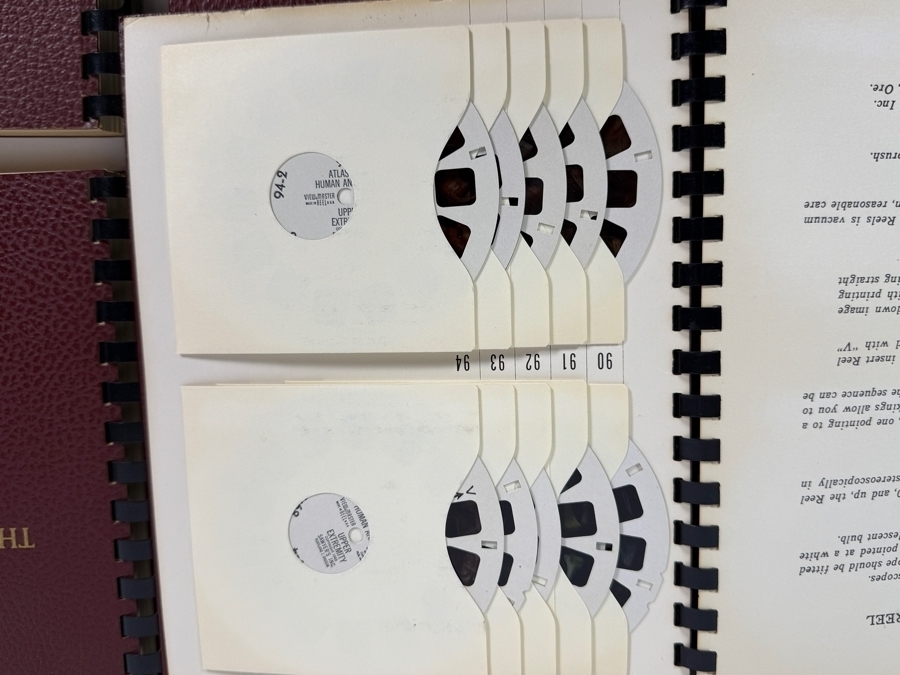 Rare Set Of (6) Vintage 1955 A Stereoscopic Atlas of Human Anatomy by David L. Bassett Upper and Lower Extremity View-Master Reels [Photo 20]