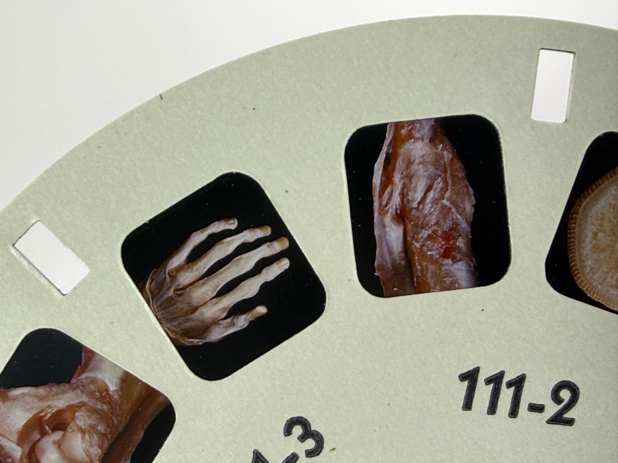 Rare Set Of (6) Vintage 1955 A Stereoscopic Atlas of Human Anatomy by David L. Bassett Upper and Lower Extremity View-Master Reels [Photo 11]